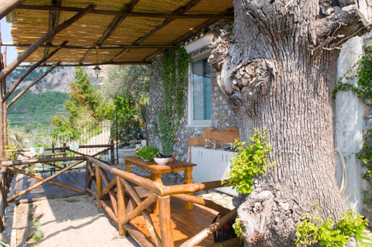 Bed and Breakfast Fattoria La Tagliata Positano Exterior foto